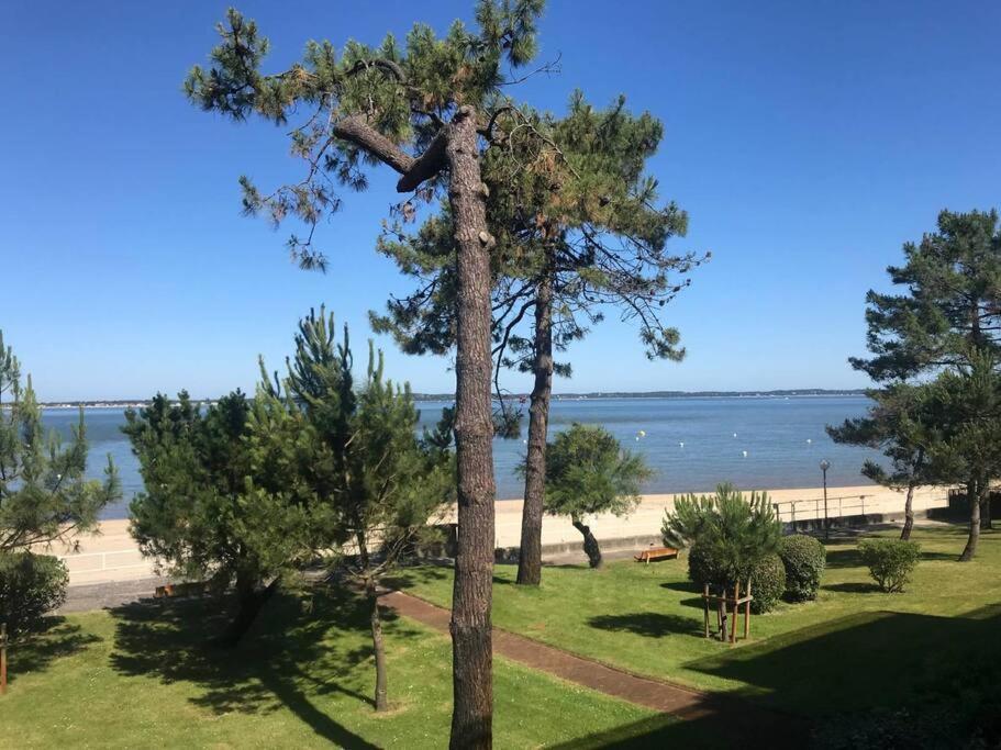 Studio Idealement Situe Arcachon Dış mekan fotoğraf